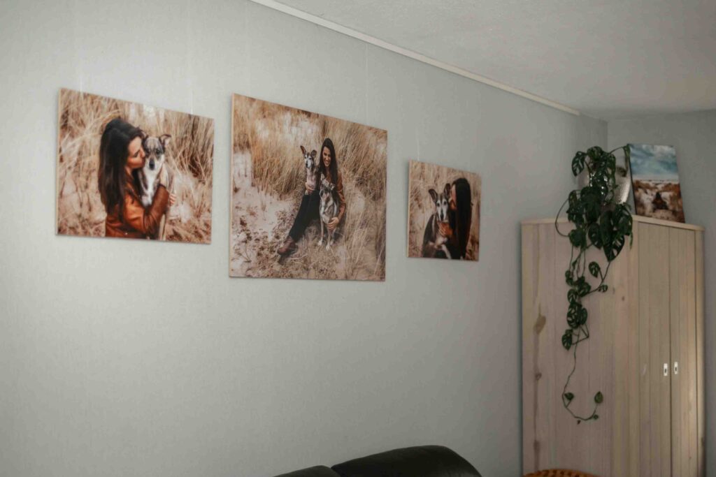 Drieluik wanddecoratie van honden aan de muur bij hondenfotograaf Sajet Fotografie, als blijvende herinnering aan de band tussen baas en hond