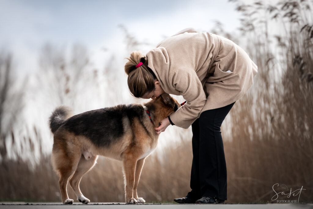 Intiem moment tussen baas en hond vastgelegd door hondenfotograaf Nederland